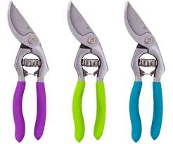professional bypass pruner