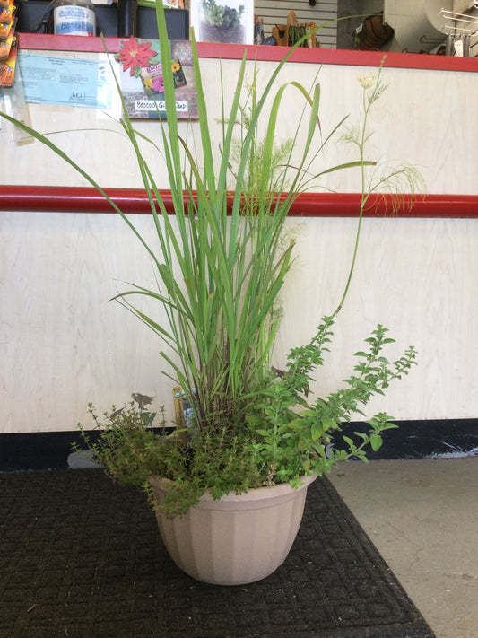 12' oval herb pot