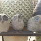 granite owl 4"
