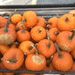 Sugar pumpkins Asst