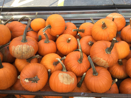 Sugar pumpkins Asst
