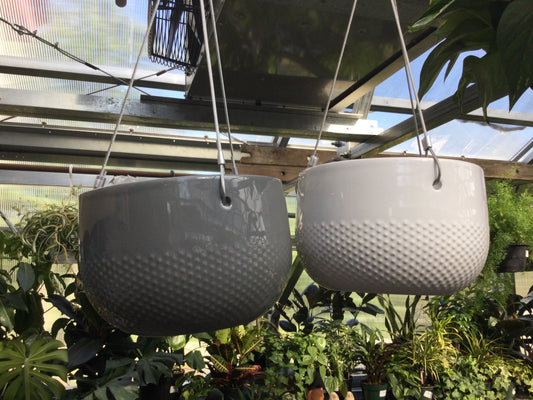 6' Morris Hanging Pot