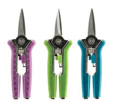 Floral Shears