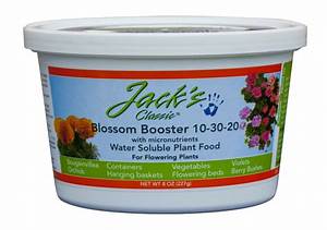 Jack Bloom booster 8oz con