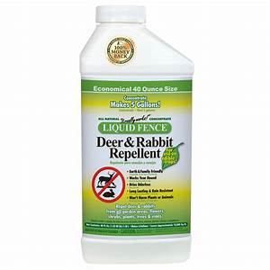 Deer & Rabbit Con 40oz