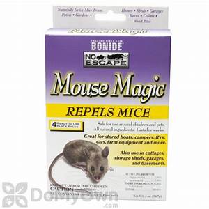 Mouse Magic 4pk
