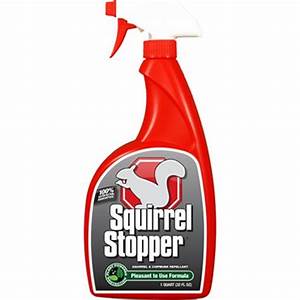 Squirrel Stopper 32oz Rtu