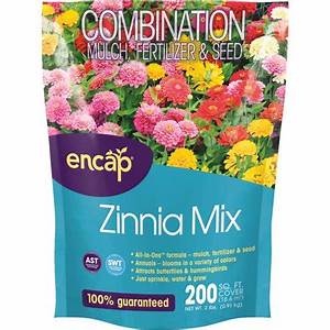 wf zinnia mix 2lb
