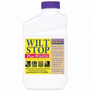 wilt stop 32oz con